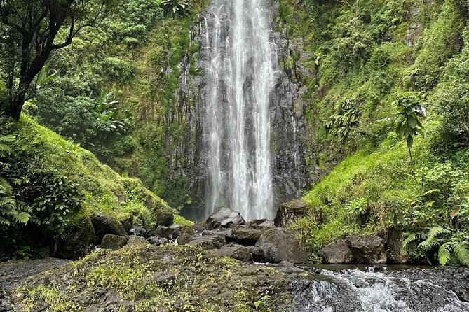 Materuni Waterfall and Coffee Plantation Half Day Tour - Why this half-day trip works so well from Moshi