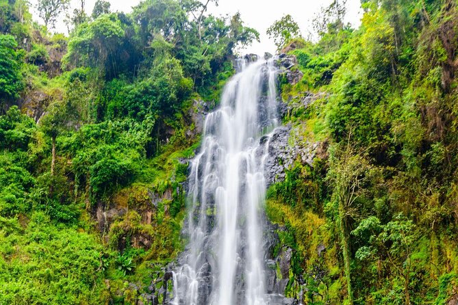 Materuni Waterfall, Coffee Tour and Picnic Hot Lunch - Key points to know before booking