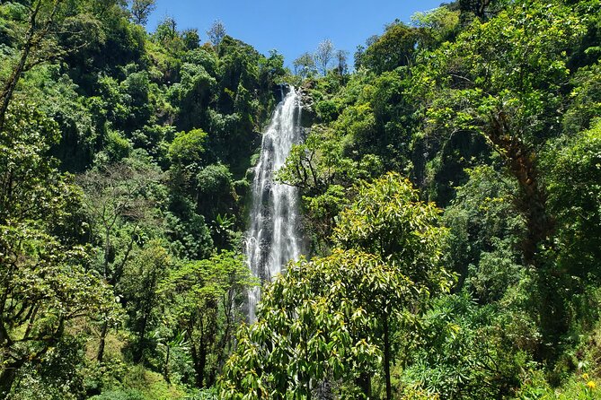 Materuni Waterfall, Coffee Tour and Picnic Hot Lunch - The 40-minute walk to Materuni Waterfall