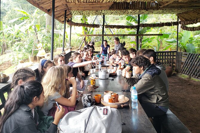 Materuni Waterfall, Coffee Tour and Picnic Hot Lunch - A hot lunch prepared by local Mamas