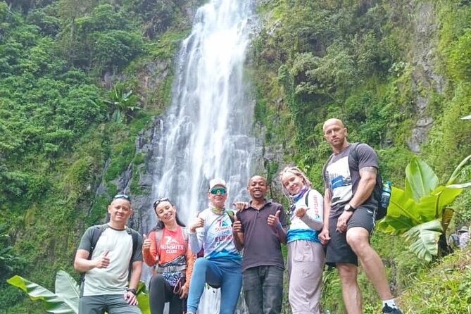 Materuni Waterfall, Coffee Tour and Picnic Hot Lunch - Who should book this Materuni day trip
