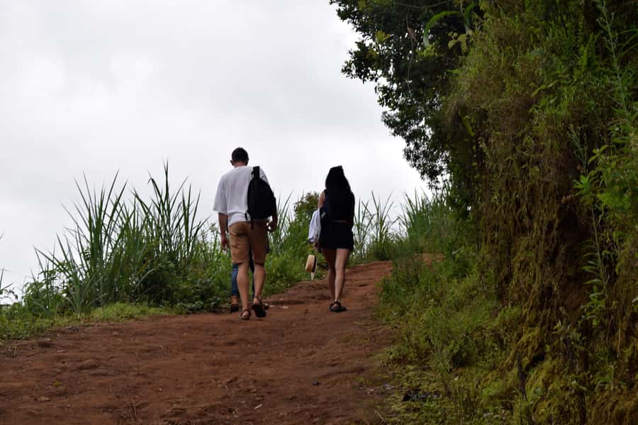 Materuni Waterfalls, Chemka Hot Springs, &/Or Coffee Tour - Key points to know before booking