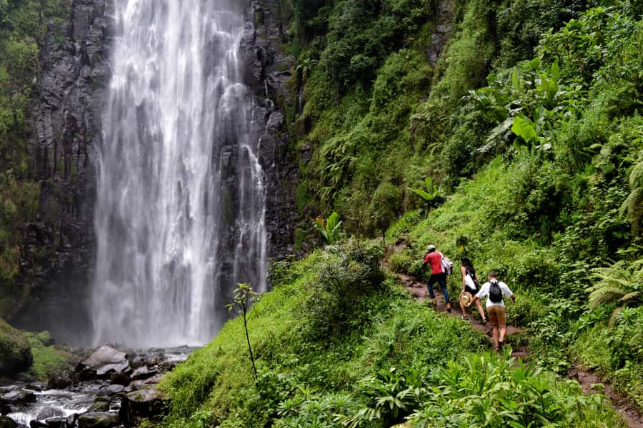 Materuni Waterfalls, Chemka Hot Springs, &/Or Coffee Tour - A full day linking three sides of Kilimanjaro