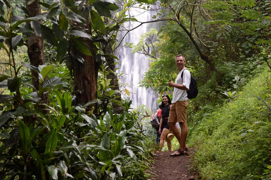 Materuni Waterfalls, Chemka Hot Springs, &/Or Coffee Tour - Guides and the quality of the day