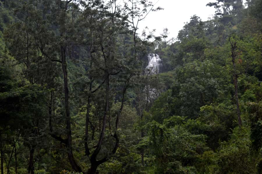 Materuni Waterfalls, Chemka Hot Springs, &/Or Coffee Tour - What the $70 price covers