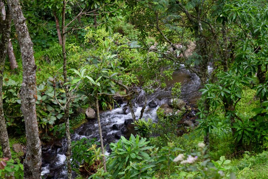 Materuni Waterfalls, Chemka Hot Springs, &/Or Coffee Tour - What to pack for comfort