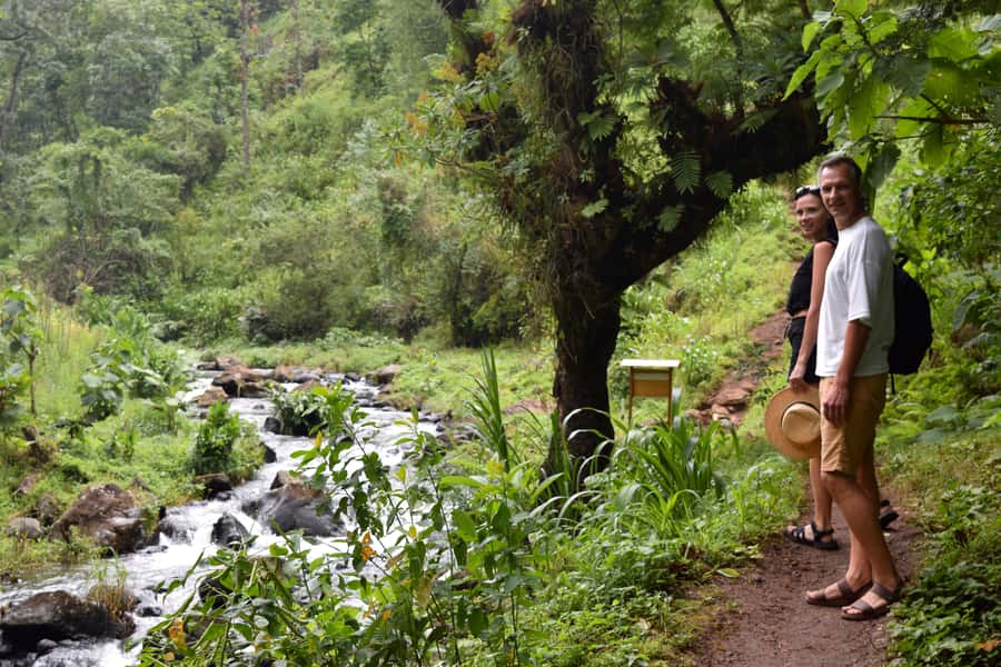 Materuni Waterfalls, Chemka Hot Springs, &/Or Coffee Tour - Should you book Materuni and Chemka?
