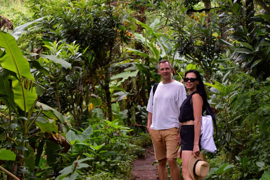 Materuni Waterfalls, Chemka Hot Springs, &/Or Coffee Tour - Walking to Materuni Waterfalls