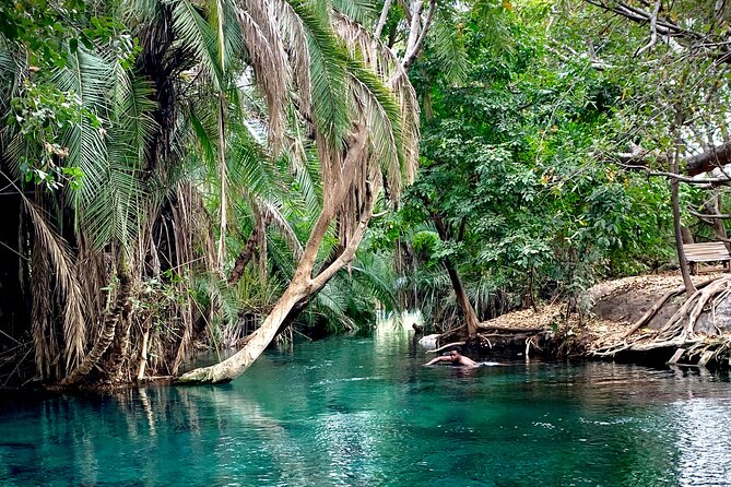 MATERUNI waterfalls, coffe tour & kikuletwa hotsprings - The 45-minute walk to Materuni Waterfall