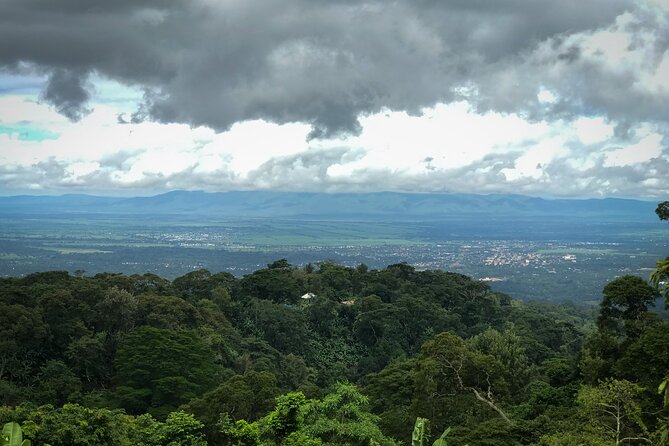 MATERUNI waterfalls, coffe tour & kikuletwa hotsprings - Who will get the most from this $150 experience