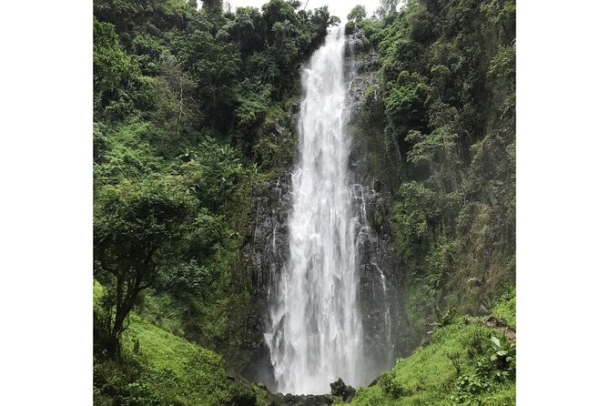 MATERUNI waterfalls, coffe tour & kikuletwa hotsprings - Should you book this Materuni and Kikuletwa day?