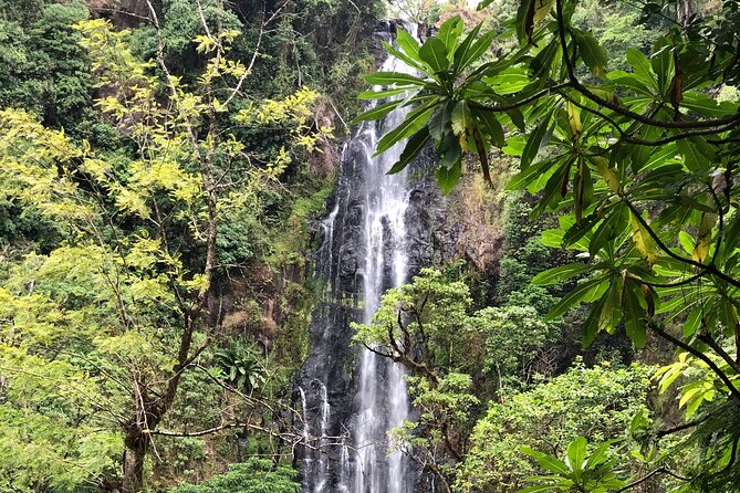 Materuni waterfalls coffee tour & Chemka hot springs Day trip - The rough road to Chemka Hot Springs