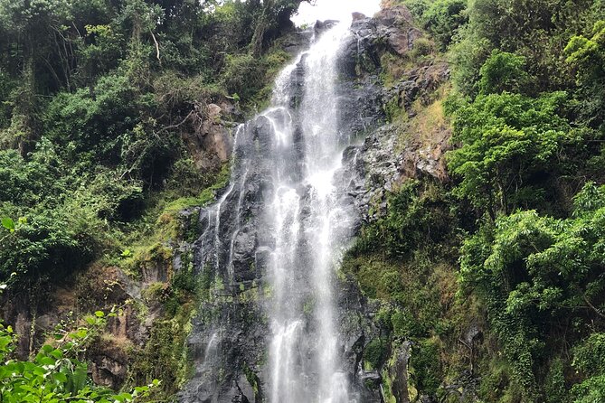 Materuni waterfalls coffee tour & Chemka hot springs Day trip - Swimming at Chemka after the hike