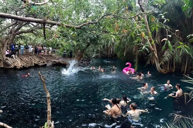 Materuni waterfalls coffee tour & Chemka hot springs Day trip - Who should book this day trip