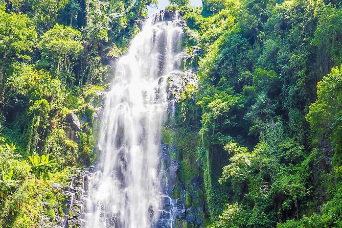 Materuni Waterfalls & Coffee Tour from Moshi - Why this Moshi day trip works so well