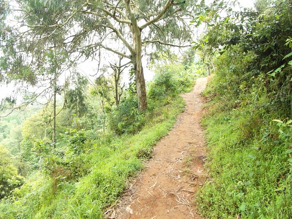Materuni Waterfalls & Coffee Tour from Moshi - Arriving at the 90-meter waterfall