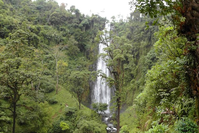Materuni Waterfalls & Coffee Tour from Moshi - What the private format changes