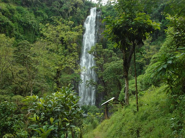 Materuni Waterfalls & Coffee Tour from Moshi - From Moshi to Materuni village