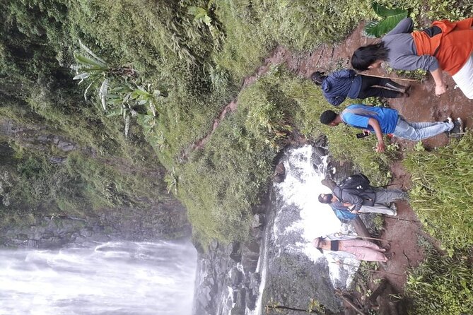 Materuni waterfalls,coffee tour & Kikuletwa(Chemka)Hot Springs - Learning coffee from plant to cup