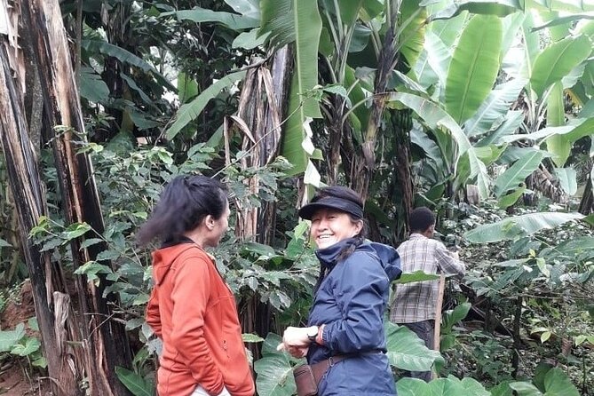 Materuni waterfalls,coffee tour & Kikuletwa(Chemka)Hot Springs - Is the $100 price fair?