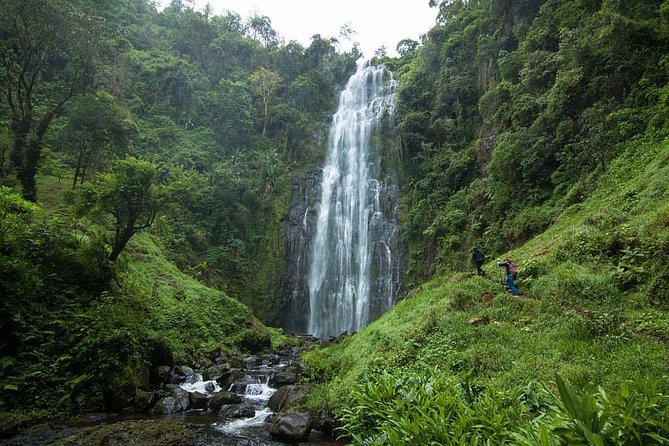 Materuni Waterfalls, coffee tour & Kikuletwa Hot Springs - Three Tanzanian experiences in one day