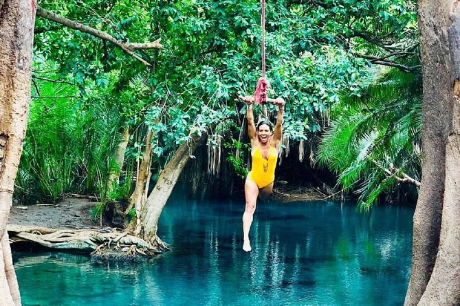 Materuni Waterfalls, coffee tour & Kikuletwa Hot Springs - What your guide adds to the day