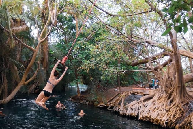 Materuni Waterfalls, coffee tour & Kikuletwa Hot Springs - Who should book this day trip?