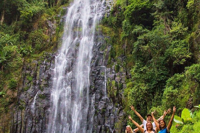 Materuni Waterfalls, coffee tour & Kikuletwa Hot Springs - Should you book Materuni and Kikuletwa?
