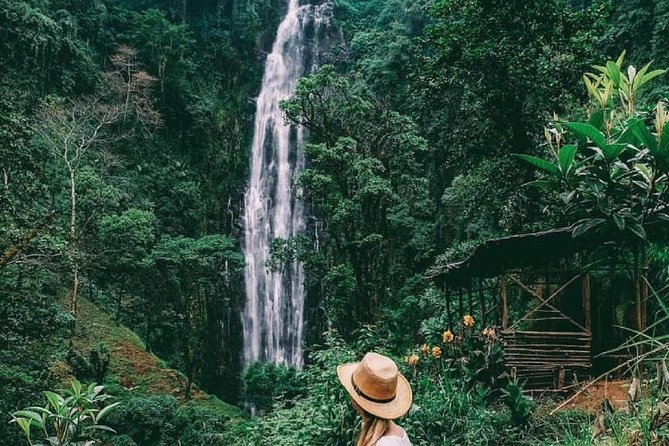 Materuni Waterfalls, coffee tour & Kikuletwa Hot Springs - Coffee making with the Chagga