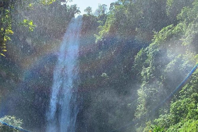 Materuni Waterfalls, Visiting Chagga Village, CoffeeTour Kikuletwa Hotsprings - What the $100 price really covers