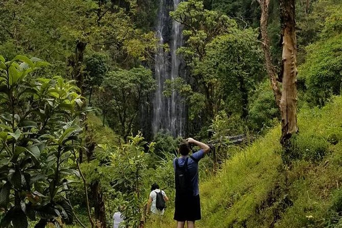 Materuni Waterfalls, Visiting Chagga Village, CoffeeTour Kikuletwa Hotsprings - Timing, pickup, and practical planning
