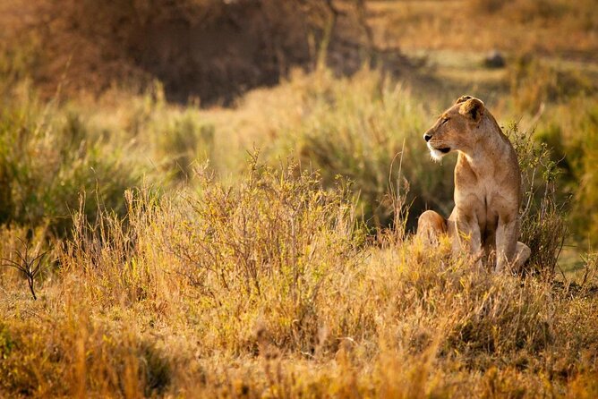 MIKUMI NATIONAL PARK - 3 Days - Key points at a glance