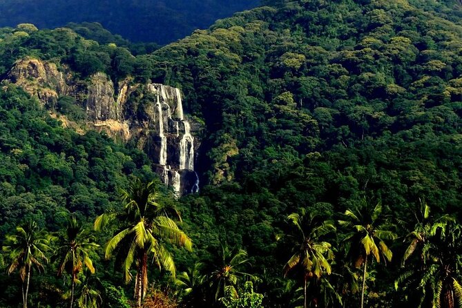 Mikumi National Park & Udzungwa Water Falls 3 Days Group Tour - Key points to know before booking