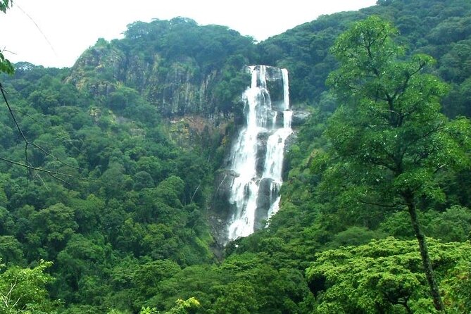 Mikumi National Park & Udzungwa Water Falls 3 Days Group Tour - A two-park trip with a sharp change of pace