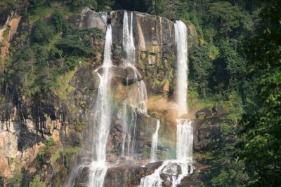 Mikumi National Park & Udzungwa Water Falls 3 Days Group Tour