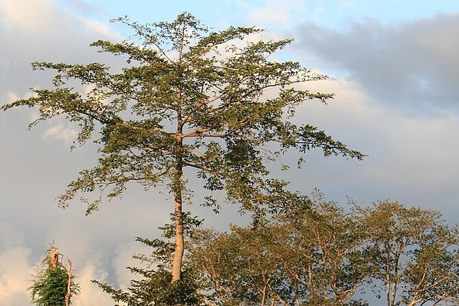 Mikumi National Park & Udzungwa Water Falls 3 Days Group Tour - Day three, a long return with optional cultural stops