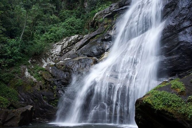 Mikumi National Park & Udzungwa Water Falls 3 Days Group Tour - What the guiding seems to add