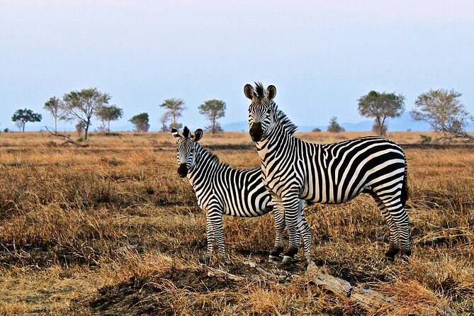 Mikumi National Park & Udzungwa Water Falls 3 Days Group Tour - Who will enjoy this trip most