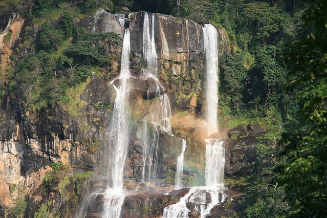 Mikumi National Park & Udzungwa Water Falls 3 Days Group Tour - Lunch beneath Mikumi’s famous baobabs