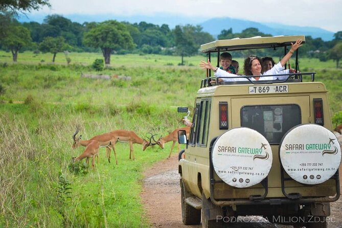 Mikumi Safari Tour: Day Trip Return Flight From Zanzibar - Food, drinks, and the practical comfort of the day