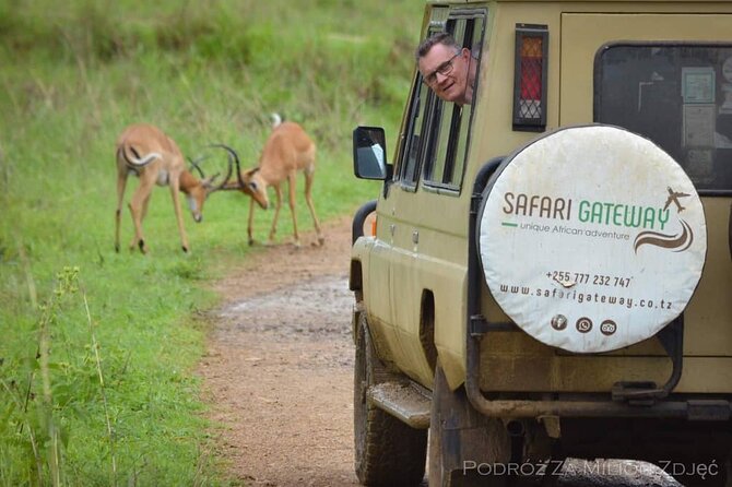 Mikumi Safari Tour: Day Trip Return Flight From Zanzibar - Timing, weather, and what can go wrong