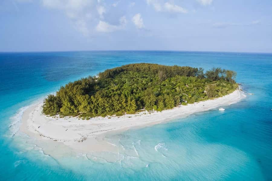 Mnemba dolphin & snorkel: from matemwe, pwani, kwingwa, Uroa - Key points to know before booking