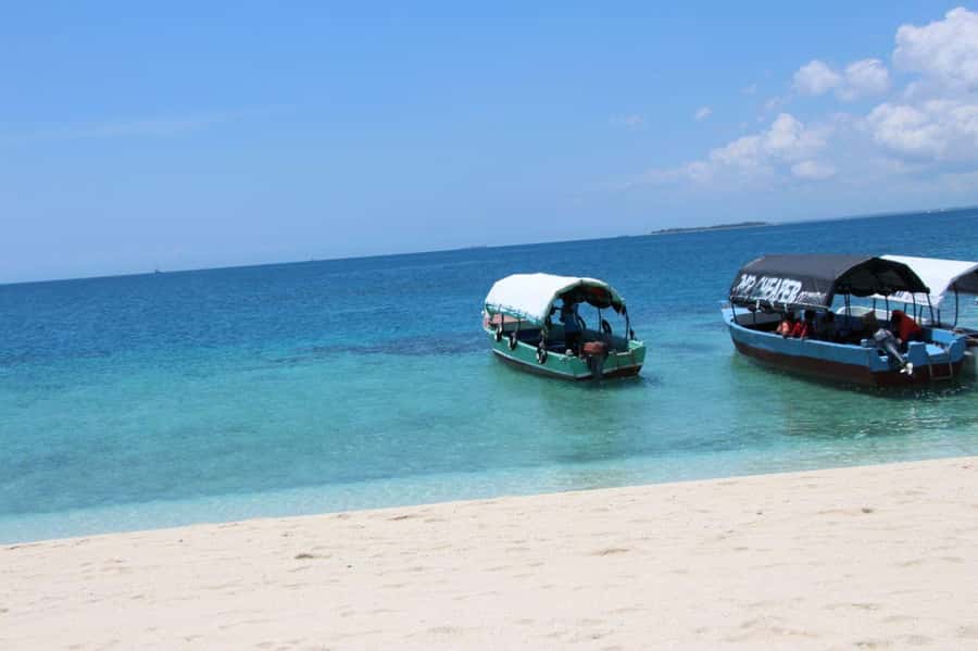 Mnemba dolphin & snorkel: from matemwe, pwani, kwingwa, Uroa - Why Mnemba makes a good half-day on Zanzibar