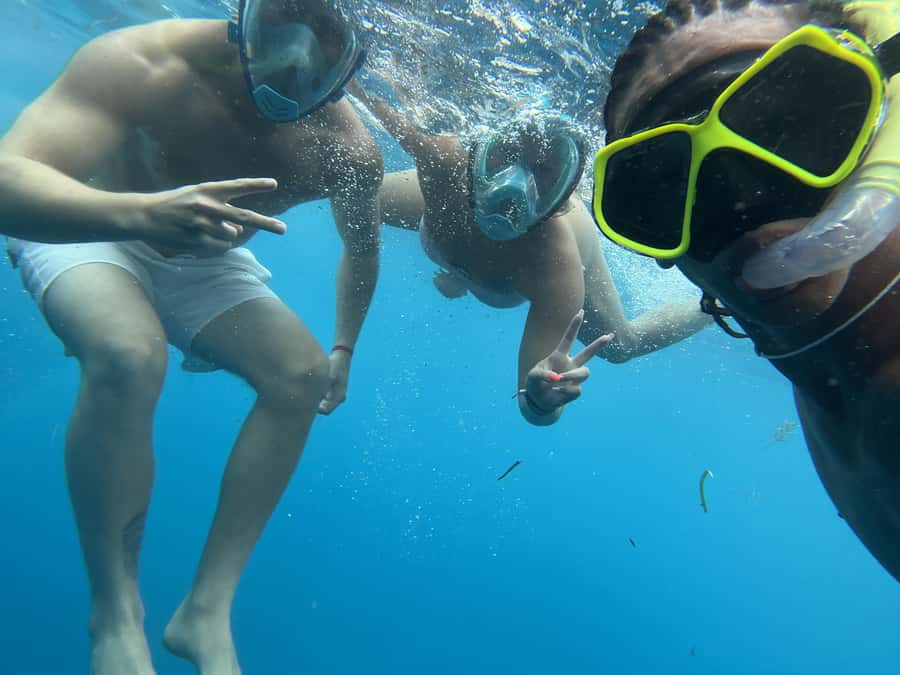 Mnemba dolphin & snorkel: from matemwe, pwani, kwingwa, Uroa - Hotel pickup from Matemwe, Pwani, Kwingwa, and Uroa