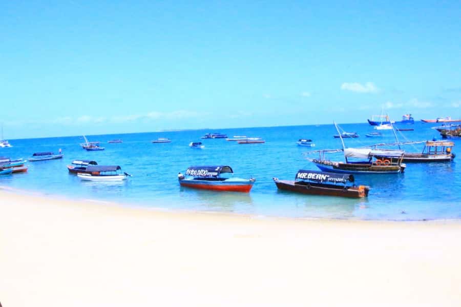 Mnemba from Kendwa & nungwi half day - Key points to know before booking