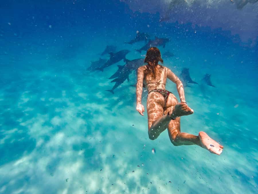Mnemba Island: Dolphin Swim & Snorkeling with Optional Lunch - Key points to know before booking