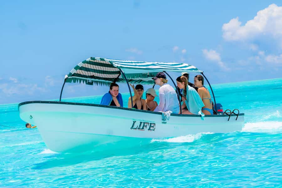 Mnemba Island: Dolphin Swim & Snorkeling with Optional Lunch - Snorkeling in Mnemba Atoll Marine Park