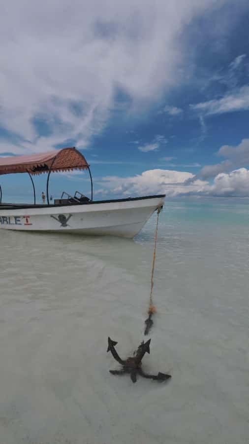 Mnemba Island: Dolphin Swim & Snorkeling with Optional Lunch - Beaches, sandbanks, fruit, and the optional lunch