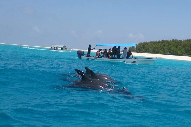 Mnemba Island snorkeling and Swimming with Dolphin - The Sandbank Depends on the Tide