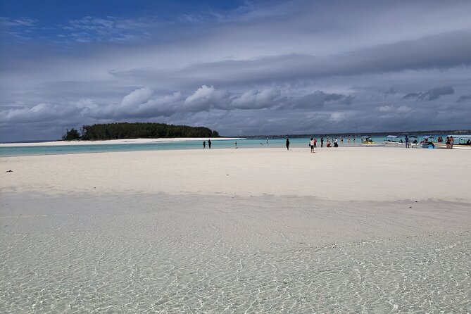 Mnemba Island snorkeling and Swimming with Dolphin - Who Will Get the Most From This Trip